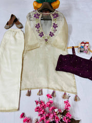 Organza Co-Ord Set with Embroidered Sheer Kurti, Blouse & Pant (3 Colors)
