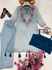 Organza Co-Ord Set with Embroidered Sheer Kurti, Blouse & Pant (3 Colors)