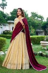 Kanchipuram Silk Lehenga Choli Set with Zari Weaving & Embroidered Vichitra Silk Dupatta | Designer Wedding & Festive Lehenga for Women